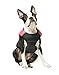 Gooby Padded Vest Dog Jacket - Pink, Medium - Warm Zip Up Vest Fleece Jacket with Dual D Ring Leash Water Resistant for Small to Medium Dogs