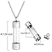 Jovivi Stainless Steel Acrylic Openable Container Tube Urn Keepsake Cremation Ashes Memorial Pendant Necklace