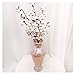 Darget Cotton Stems - 29