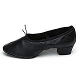 Roymall Women's Latin Dance Shoes Model 101