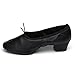 Roymall Women's Latin Dance Shoes Model 101