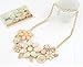 CJESLNA Resin Flower Bib Statement Choker Collar Necklace(Beige)