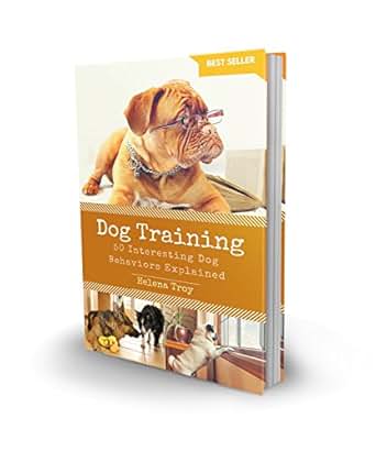 Dog Training 50 Interesting Dog Behaviours Explained
