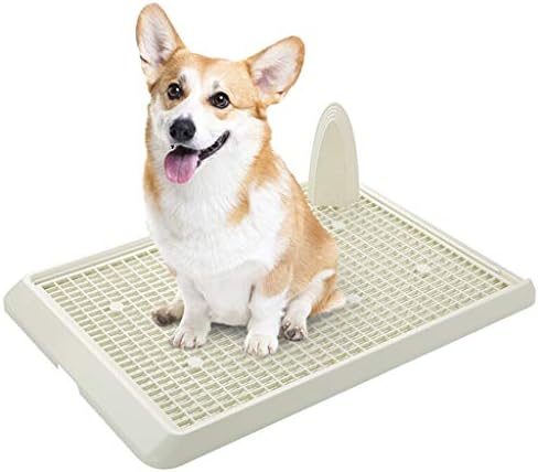 Size 63x45cm 爆買い新作