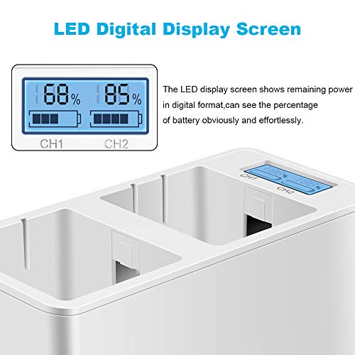 1 Battery+Charger+Rechargeable+Batteries+Charging