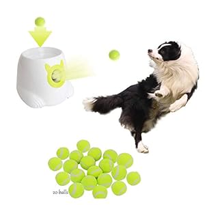 extreme dog fence second generation