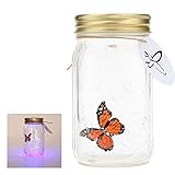 Herebuy8 Romantic Butterfly Collection- Animated Butterfly in a Jar with LED Lamp (Orange)