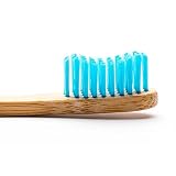 Brush Teeth (AM)