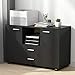 Tribesigns 2 Drawer File Cabinets, Mobile Lateral Filing Cabinets Printer Stand on Wheels, Office Cabinet with 2 Doors Storage Cabinet