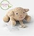 Organic Pacifier Holder with Orthodontic Infant Pacifier & Microwaveable Soothie & Natural Teether & Pacifier Clip - PureLittle Sheep: Organic Pacifier Animal Stuffed with Natural Material