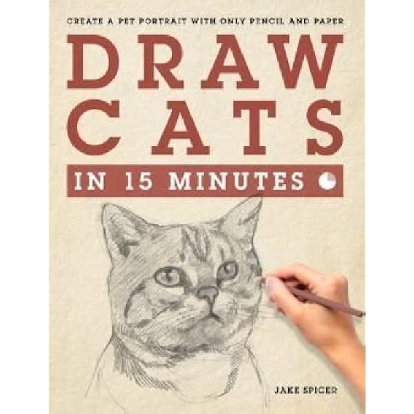 Draw Cats in 15 Minutes: Spicer, Jake: 9781435152410: Amazon.com