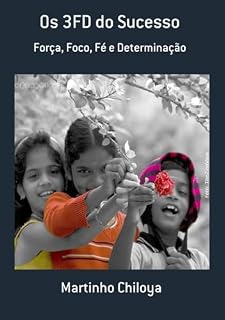 Livro Os 3fd Do Sucesso