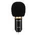 EARAMBLE Professional Studio Broadcasting Recording Condenser Microphone Recording Microphone with Shock Mount (Black)