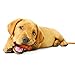 Nylabone Healthy Edibles Natural Puppy Chews Long Lasting Treats for Puppies, Turkey & Sweet Potato Flavor, X-Small/Petite (8 Count)