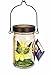 Echo Valley 4572R Butterfly Solar Lantern