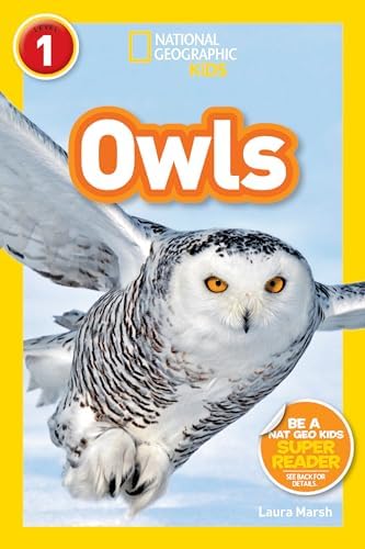 Amazon.com: Sea Otters (National Geographic Kids Readers, Level 1