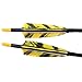 PG1ARCHERY 31-Inch Carbon Arrows Target Practice Hunting Arrow with 4