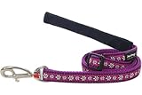 Red Dingo Designer Dog Lead, Small, Daisy Chain Purple