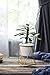 Fieren Indoor Planter pots,Succulent pots,Small Flower Pot,Indoor Plant Stand for 4.3