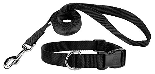 Country Brook Design 3/8 Inch Deluxe Nylon Dog Collar and Leash - Black - XS
