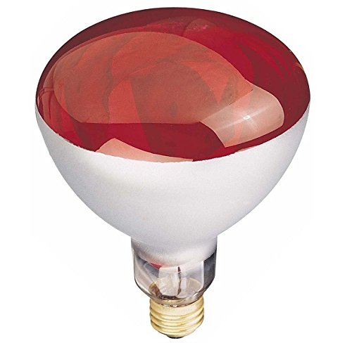 Globe Electric 03917 250-watt R40 Incandescent Heat Lamp Light Bulb, E26 Base, Red