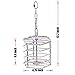 KINTOR Baffle Cage,Parrot Stainless Steel Foraging Toy for African Grey Amazon Cockatoos Eclectus Large Conures Macaw (Large)