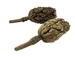 Josh's Frogs Magnolia Pods