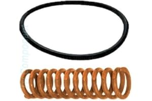 Spring & O-Ring Seal, Intermediate Accumulator, fits GM TH350 1969-1986. TH/THM-350