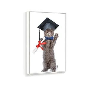 Framed Canvas Wall Art for Living Room, Bedroom Humorous Cat Canvas Prints for Home Decoration Ready to Hanging - 16x24 inches
