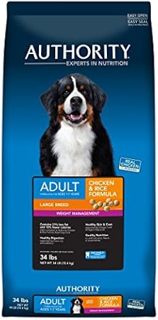authority adult large breed