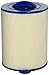 Pleatco PWW50P3 Replacement Cartridge for Waterway Front Access Skimmer (2 required), 1 Cartridge