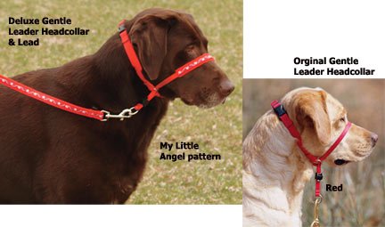 gentle leader nose harness