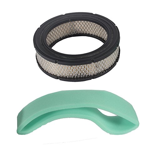 Maxpower 334392 Air Filter and Pre-Cleaner for Briggs and Stratton 692519/692520