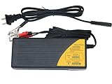HoneyCare 48V Sealed Lead Acid Battery Charger,SLA AGM Gel VRLA Battery Charger with Fuel Gauge,MCU Control,with Recovery Function Charger for Scooter,Electric Bike (48V Lead Acid Battery Charger)