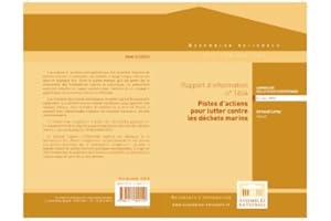 Rapport d'information de la commission des affaires européennes sur la consultation de la Commission européenne relative aux 