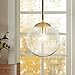 Light Society Zeno Globe Pendant, Clear Glass with Brass Finish, Contemporary Mid Century Modern Style Lighting Fixture (LS-C175-BRS-CLR)