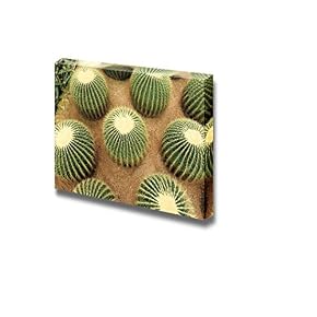 Beautiful Botany View of Cactaceaes Wall Decor Wood Framed