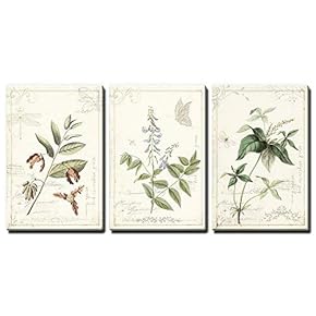 Vintage Elegant Botanicals - 3 Panel Canvas Art