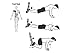 Fruzelg Vivibyan QuickFit Suspension Exercise Workout Poster - Laminated - Suspension Training Chart with 40 Exercises You Can Do at Home (18 x 27)