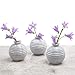 CHIVE - Set of 6 Smasak 2.5
