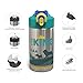 Zak Designs The Lion King - Simba, Timon and Pumbaa Stainless Steel Water Bottle 15.5 oz with One Hand Operation Action Lid and Built-in Carrying Loop, with Straw is Perfect for Kids
