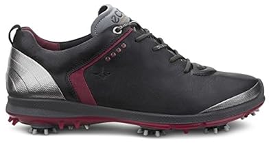ecco mens biom g 2 gtx