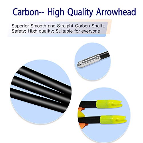 WDLHQC 30inch Fiberglass Arrow for Recurve and Compound Bow Hunting and Practice Hunting - Thumbnail 2