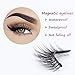 Magnetic Eyeliner Magnetic Eyelash Kit No Glue Reusable Silk False Lashes New Upgrade 3D Waterproof And Easy To Use Magnetic Eyelashes Kit