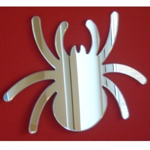 Super Cool Creations Jumping Spider Mirror 45cm x 40cm