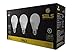 SELS LED A19 60-Watt Equivalent LED Light Bulb, E26 Standard Base, Soft White (3 Pack)