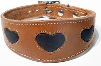 leather lurcher collar
