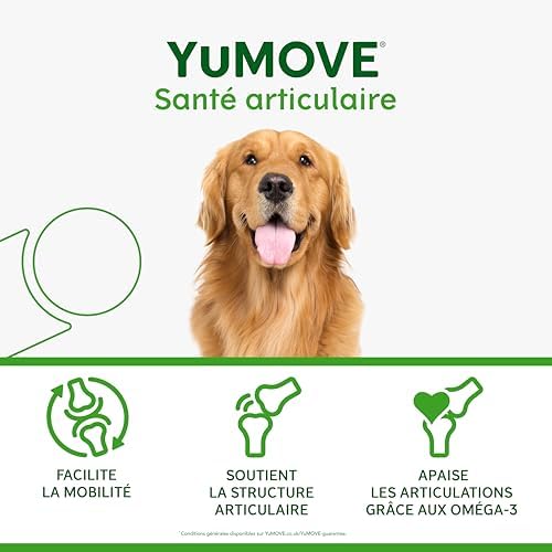 Articulation Chien 2-7 Ans - 300 Comprimés, ActivEase et Omega-3