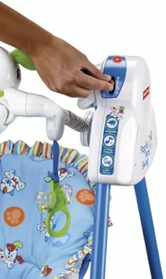 fisher price playful pets swing