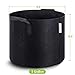 VIPARSPECTRA 6-Pack 5 Gallon Grow Bags Thickened Nonwoven Aeration Fabric Pots Container with Heavy Duty Durable Handles for Garden Indoor Plantsthumb 1